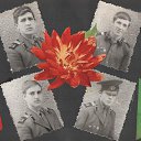 ���� ������, ������ - ��������� 14 ���� 2017 � ������ ����û