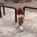 ���� ����, ������� - ��������� 27 ������� 2017 � ������ ������