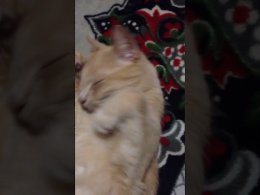 ������, �� �����?