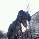 ���� �����, �������, 39 ��� - ��������� 23 ������ 2017 � ������ ���������� ������