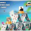 ���� Wisewell, ������, 52 ���� - ��������� 23 ��� 2017