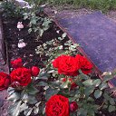 ���� ������, ��������� - ��������� 2 ������� 2017 � ������ ������ ��������