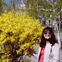 ���� ��������, ������-��-����, 41 ��� - ��������� 17 ������ 2017 � ������ ���� ����������