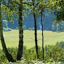 ���� �������! �� ������� ���� ����������