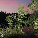  , , 75  -  29  2017   Ҹ   2017