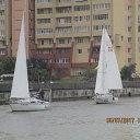 ���� �������, ������, 52 ���� - ��������� 8 ���� 2017 � ������ ������ ��������