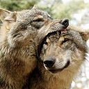 ���� ������, ������������ - ��������� 31 ���� 2017 � ������ ������