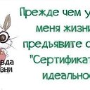 ���� ����, ����� - ��������� 14 ������ 2017 � ������ ������ ��������