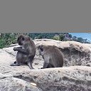 ���� �������, ���������, 46 ��� - ��������� 19 ������� 2017 � ������ ����������