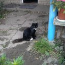 ���� �������, ����� - ��������� 5 ���� 2017 � ������ ���� ����������