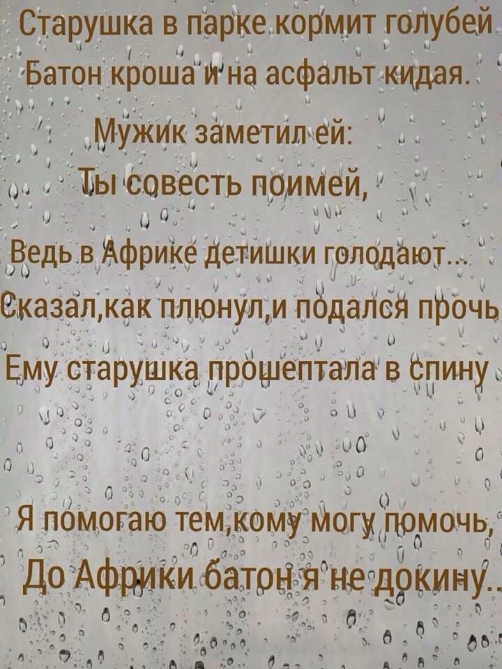 ...����� � ����� ���� ������ �����