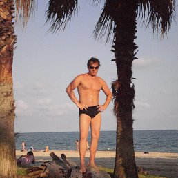 ���� ����, ������ - ��������� 29 ��� 2017