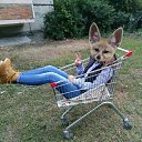 ���� �����, �����������, 28 ��� - ��������� 23 ������ 2017 � ������ ���� ����������