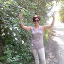  , , 58  -  2  2017   02.06