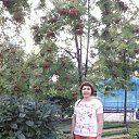 ���� ������, ������ - ��������� 5 ������� 2017 � ������ ���������