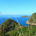 ���� �����, ����, 40 ��� - ��������� 21 ���� 2017 � ������ ������ ��������