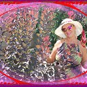  Rodnaia,  -  24  2017    