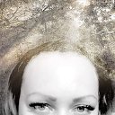 ���� ��������, ���������, 41 ��� - ��������� 10 ������� 2017 � ������ ���� ����������