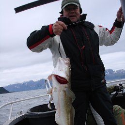 ���� ������, �����-���������, 64 ���� - ��������� 14 ������ 2017