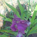 ���� ��������, ������� - ��������� 21 ��� 2017 � ������ ������..�