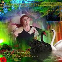 ���� �������, �������, 72 ���� - ��������� 2 ������� 2017 � ������ ������ - ������ �����������