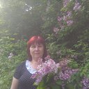 ���� �������, ���������, 71 ��� - ��������� 20 ���� 2017