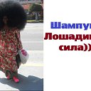 ���� ������, �����, 39 ��� - ��������� 9 ��� 2017 � ������ ������ ��������