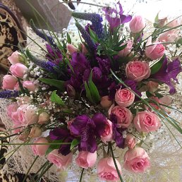 �����, ������, 64 ����