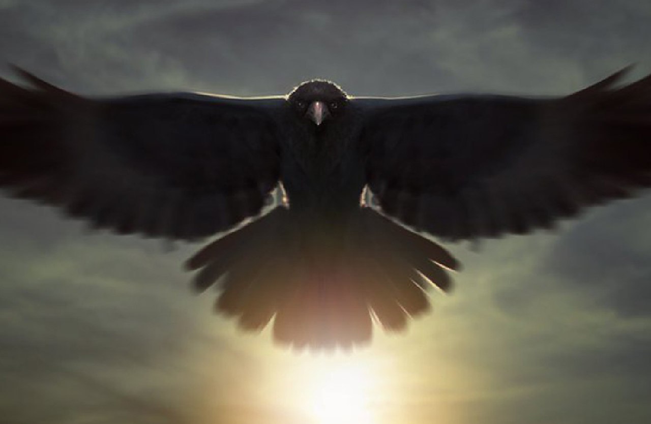 .***       . ,  ,  ...