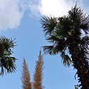  , , 60  -  24  2017   ,&quot;   ..&quot; ,22.10.17