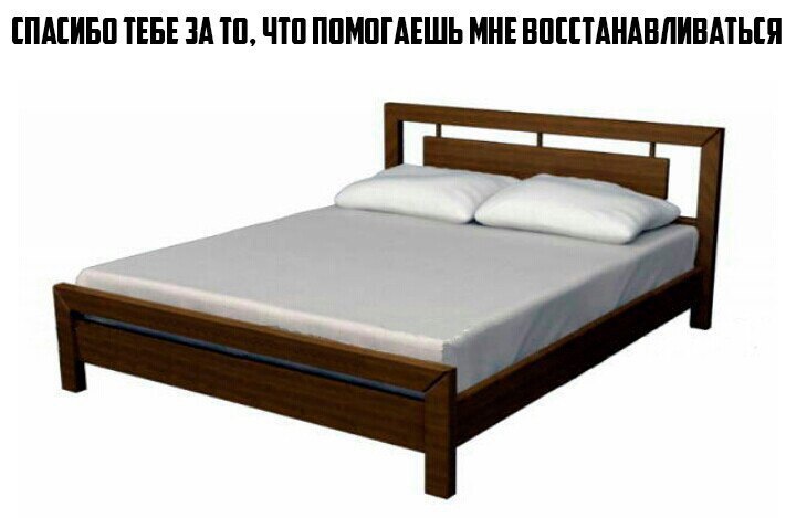 SportFeed - 15  2017  01:04