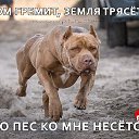 ���� �����, ������ - ��������� 25 ���� 2017 � ������ ������ ��������