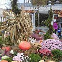 ���� ������, ��������, 66 ��� - ��������� 24 ������� 2017 � ������ ���� ����������