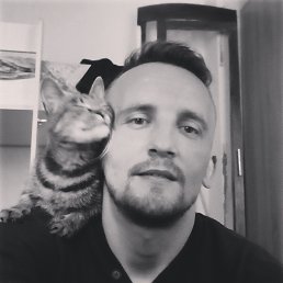 ����, ����, 43 ����