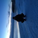 ���� ���������, �������, 36 ��� - ��������� 3 ���� 2017