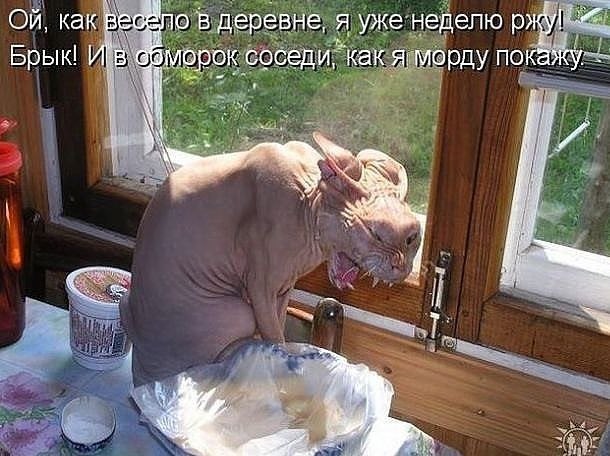,      ...   )))
