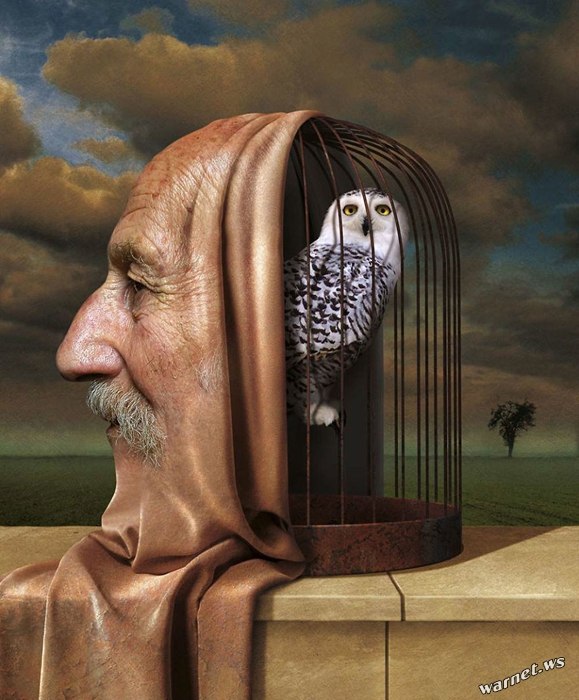 Morski Studio Graficzne   - 10