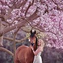 ���� �������, ������ - ��������� 7 ������� 2017 � ������ ��������