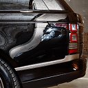  , , 36  -  31  2017    .  .