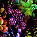 ���� ������, ������, 48 ��� - ��������� 8 �������� 2017 � ������ ���� ����������