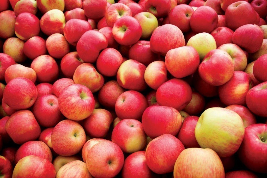 Яблоки — как целебное (лечебное) средство. Как часто случается, что мы придаем особое значение ...