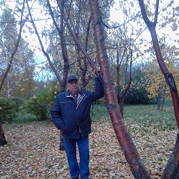 ���� ���������, ����������, 79 ��� - ��������� 30 �������� 2017