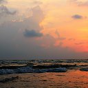  ., , 51  -  26  2017    