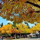  ,  -  24  2017                   Ѩ       һ