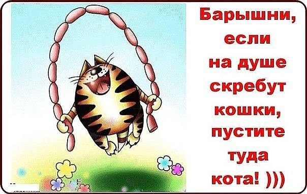 ))) - 3