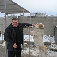 , 60 , 