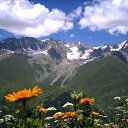 ���� ������, �������, 49 ��� - ��������� 24 ������ 2017 � ������ ���� ����������