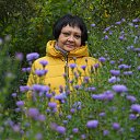 ���� ������, �����, 60 ��� - ��������� 3 ������� 2017 � ������ ���� ����������