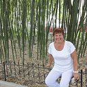 ��������� ������������.����. �� ������� ���� ����������