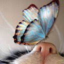  , --, 57  -  10  2017    